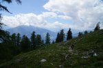 gal/diverses/Alp Mora/_thb_DSC07006.JPG